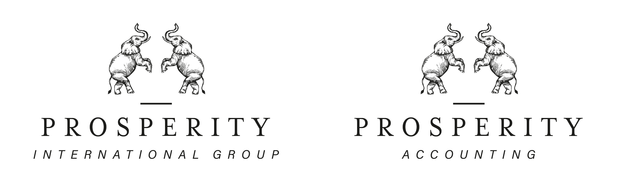 Prosperity Accounting